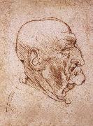 Leonardo Da Vinci Profile of an old man oil painting